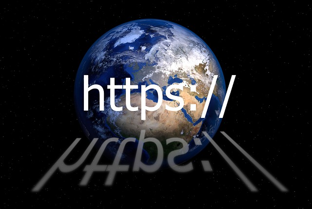 Domain / Internet-Adresse